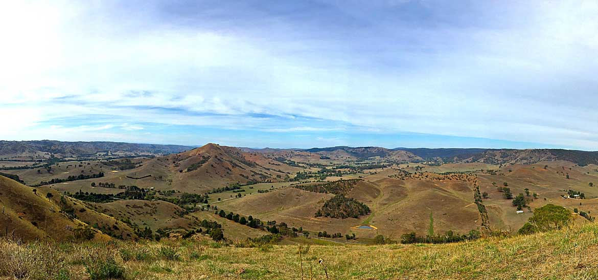 Wattle Grove landscape