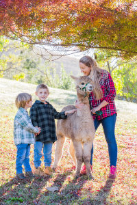 Wattlegrove Photography Sessions