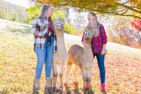 Wattlegrove Photography Sessions