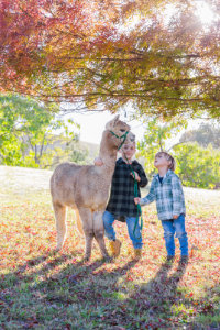 Wattlegrove Photography Sessions